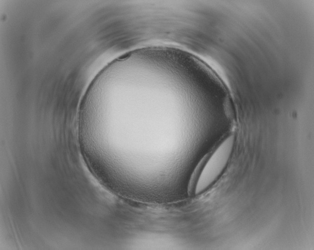 X0000088620911200706081518
