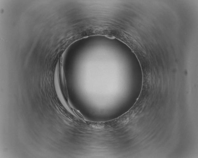 X0000088620914200706081517