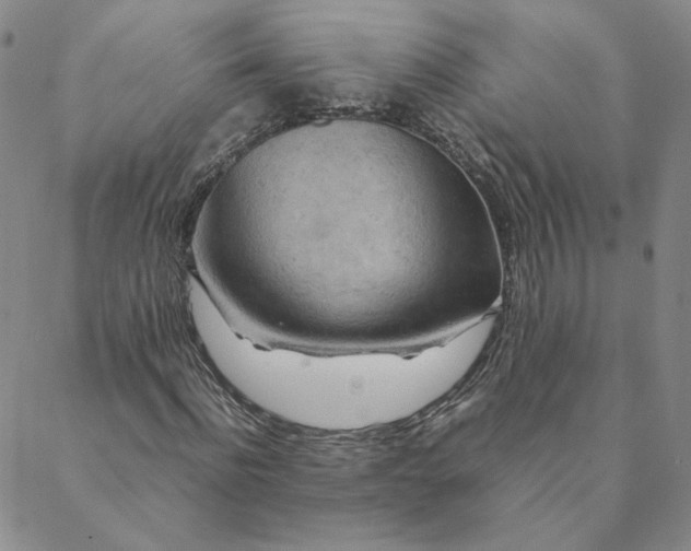 X0000088620916200706081517
