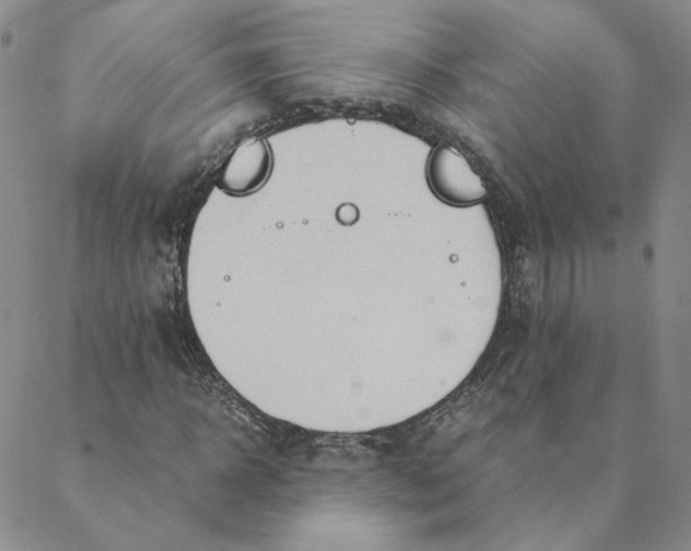 X0000088620918200706081518