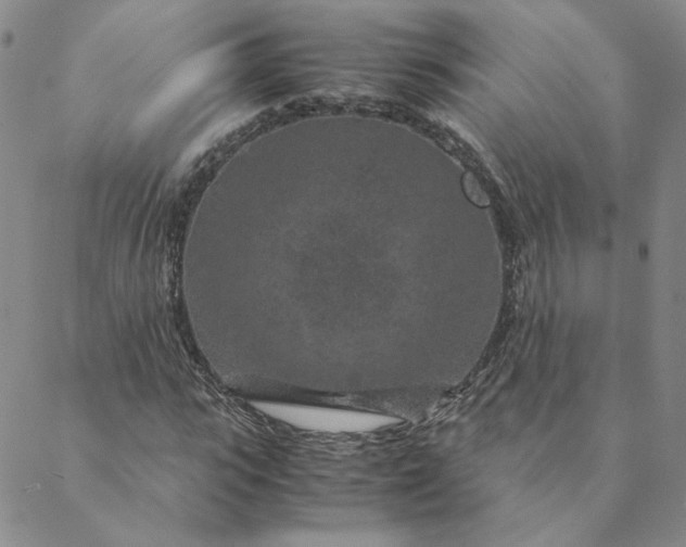 X0000088620919200706081518