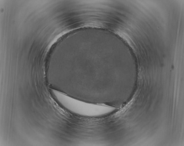 X0000088620923200706081518
