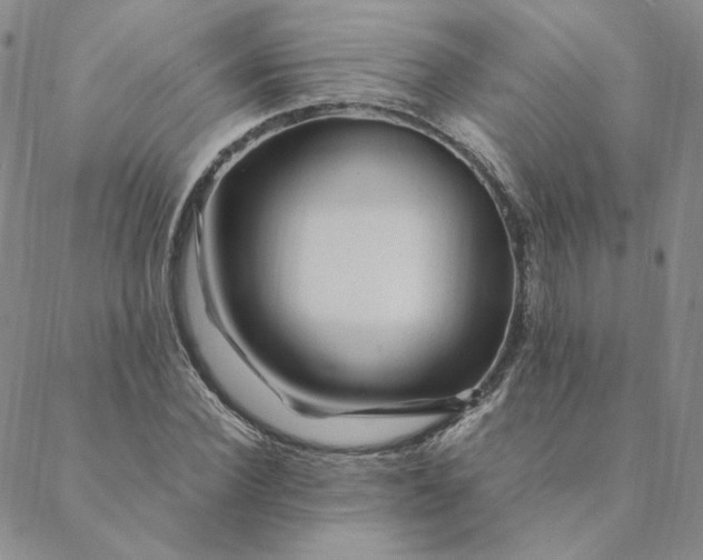 X0000088620924200706081518