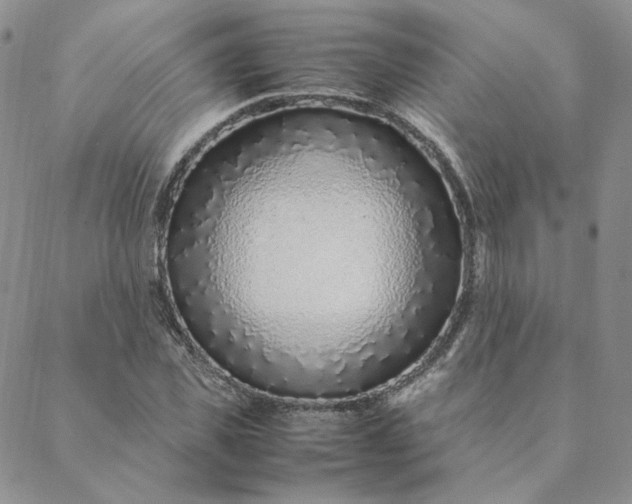 X0000088620925200706081518