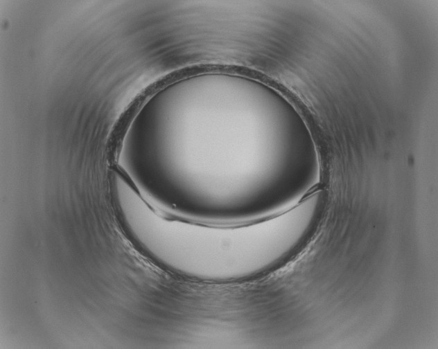 X0000088620926200706081518