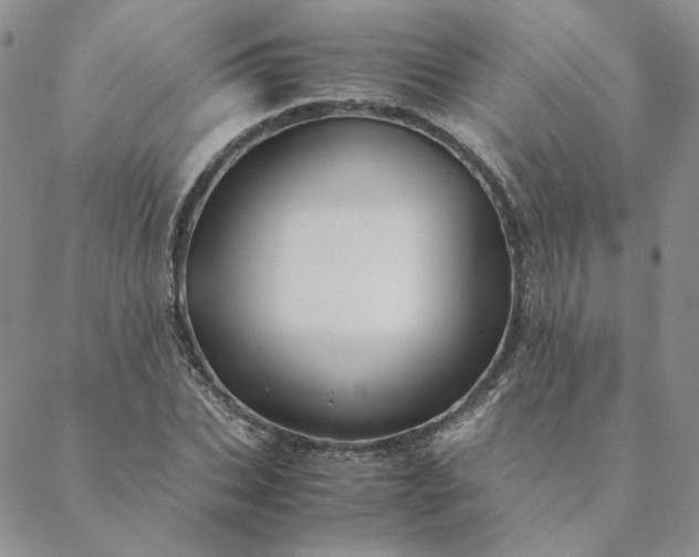 X0000088620927200706081518