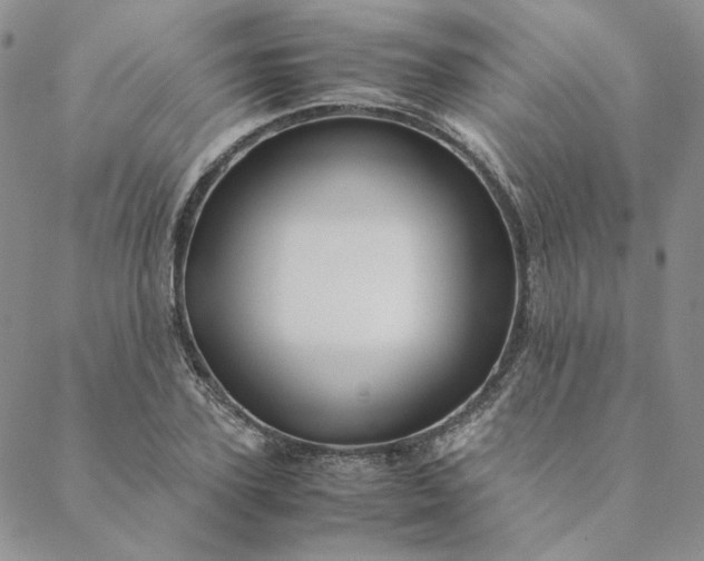 X0000088620931200706081518