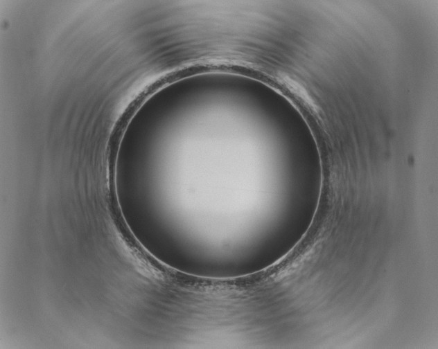 X0000088620934200706081518