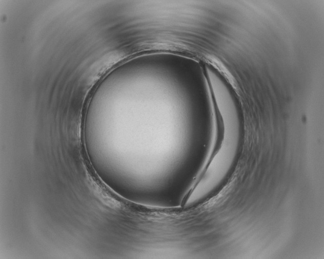 X0000088620938200706081518