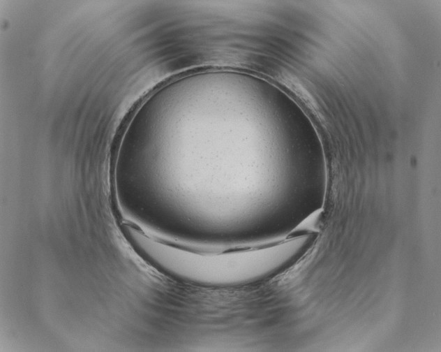 X0000088620939200706081518