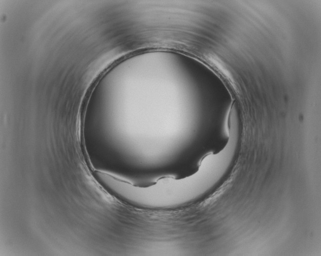 X0000088620940200706081518