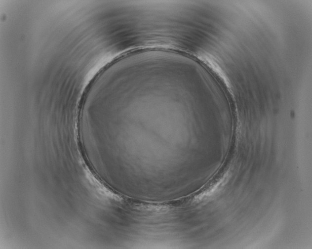 X0000088620941200706081518