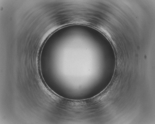 X0000088620947200706081518
