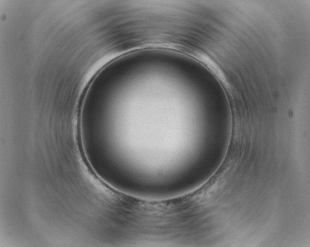 X0000088620955200706081518
