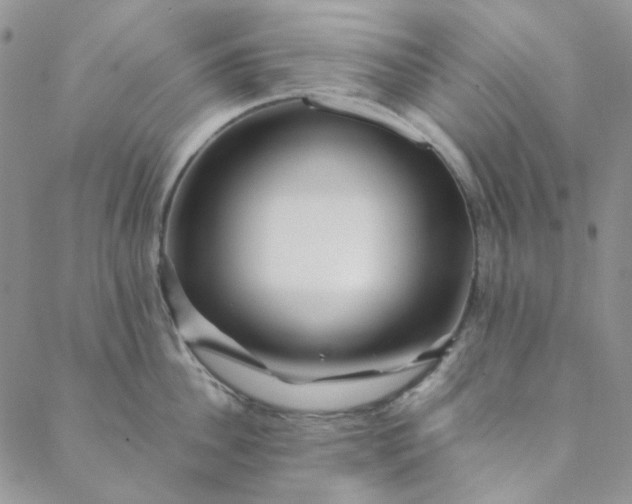X0000088620956200706081518