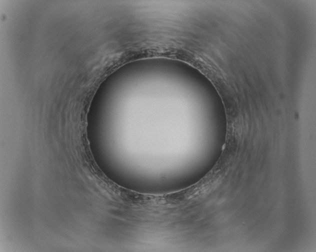 X0000088620961200706081517