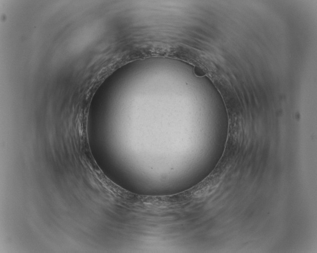 X0000088620962200706081517