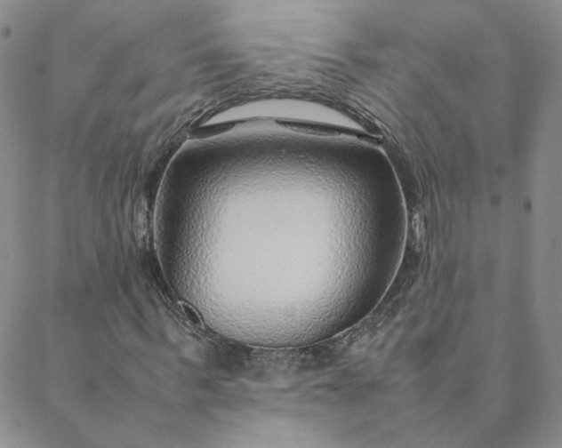 X0000088620963200706081517