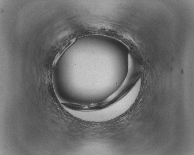 X0000088620965200706081517