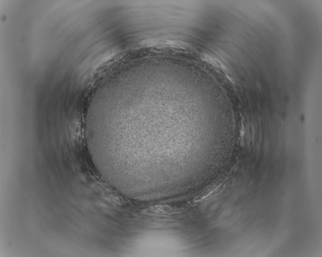 X0000088620966200706081517