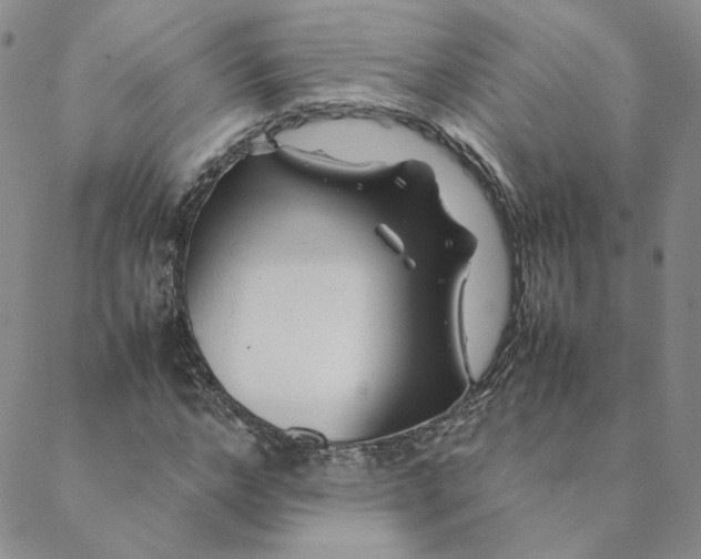 X0000088620968200706081517