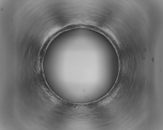 X0000088620974200706081517