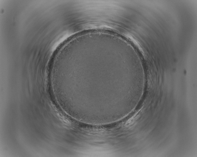 X0000088620975200706081517