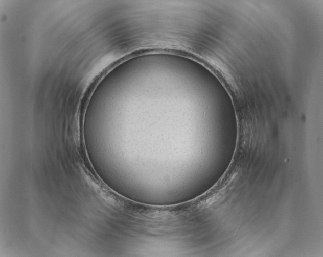 X0000088620982200706081517