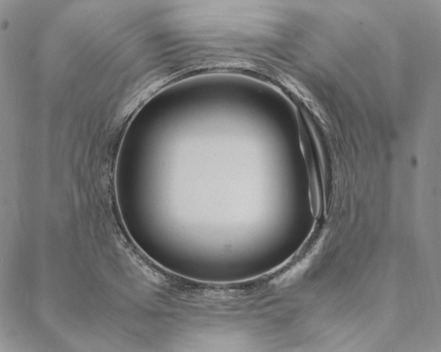 X0000088620985200706081517