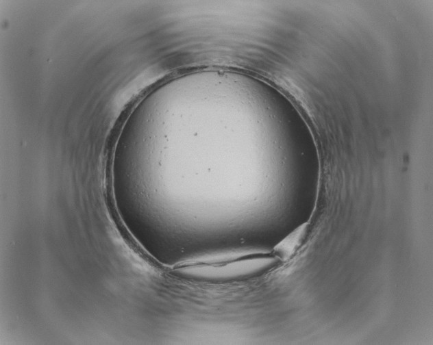 X0000088620987200706081517