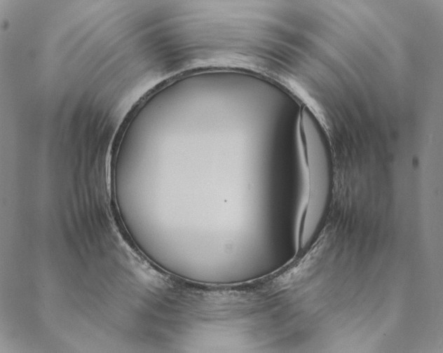 X0000088620988200706081517