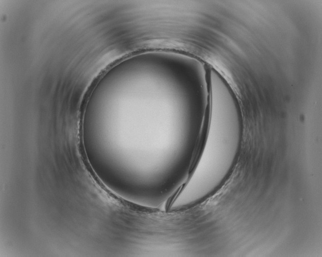 X0000088620992200706081517