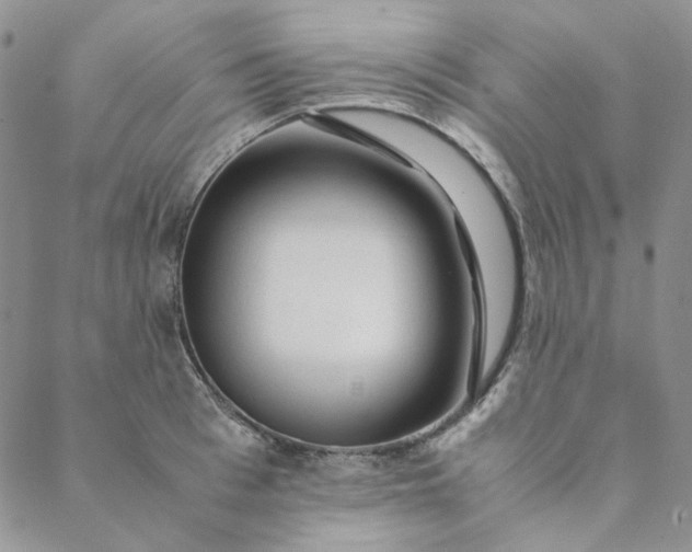 X0000088620993200706081517