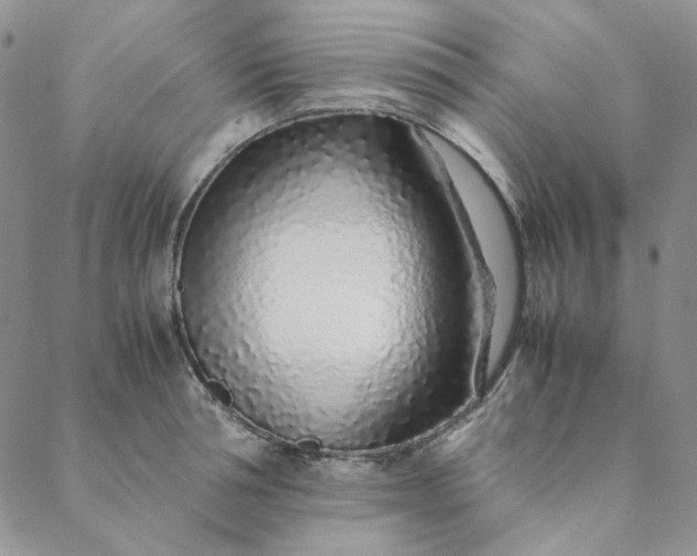 X0000088620994200706081517