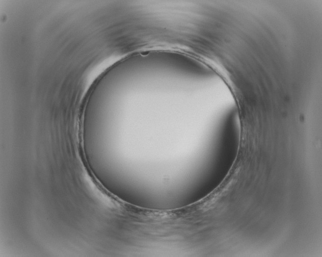 X0000088621003200706081517
