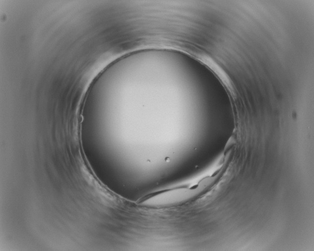 X0000088621004200706081517