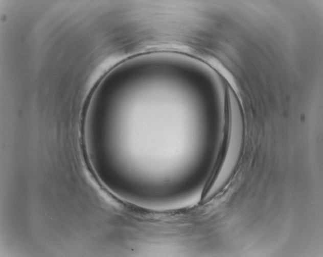 X0000088621005200706081517