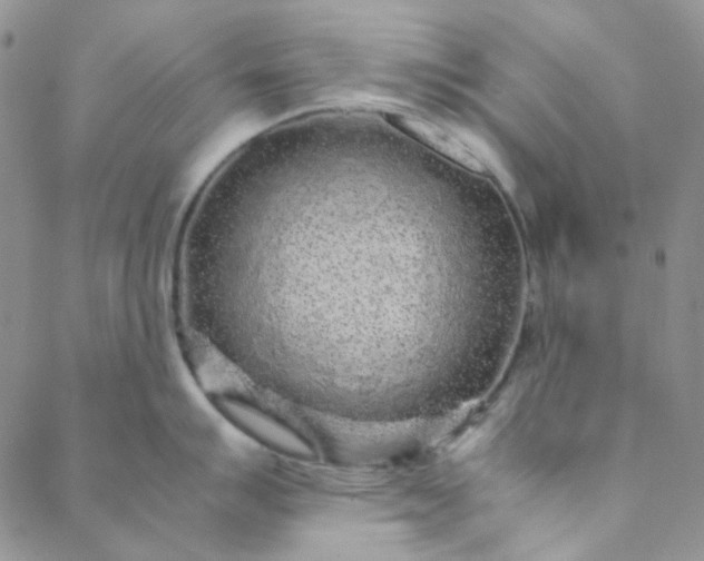 X0000088621007200706081517