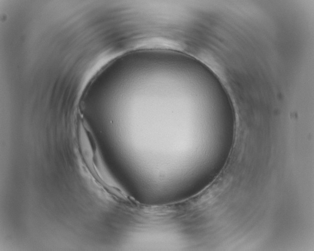 X0000088621008200706081517