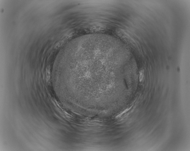 X0000088621011200706081516