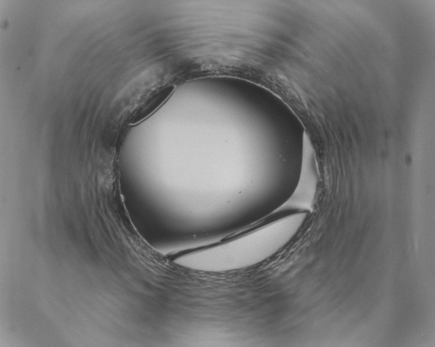 X0000088621012200706081516