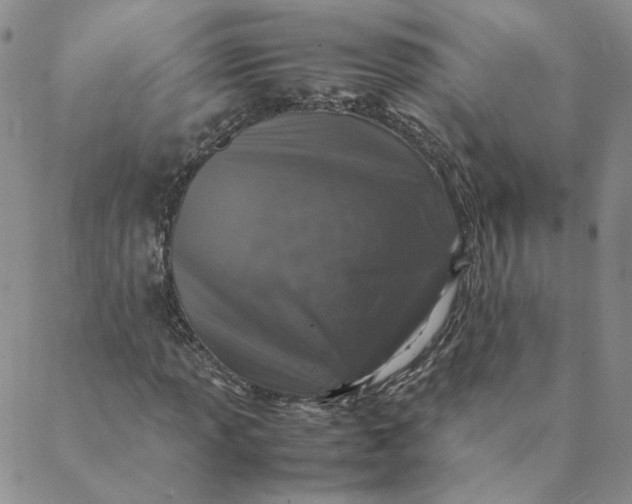 X0000088621013200706081516