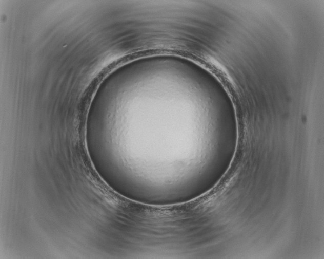 X0000088621019200706081516