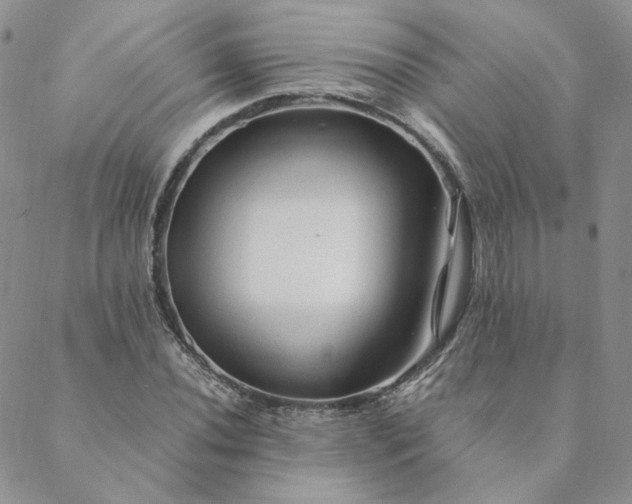 X0000088621020200706081516