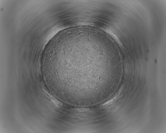 X0000088621023200706081516