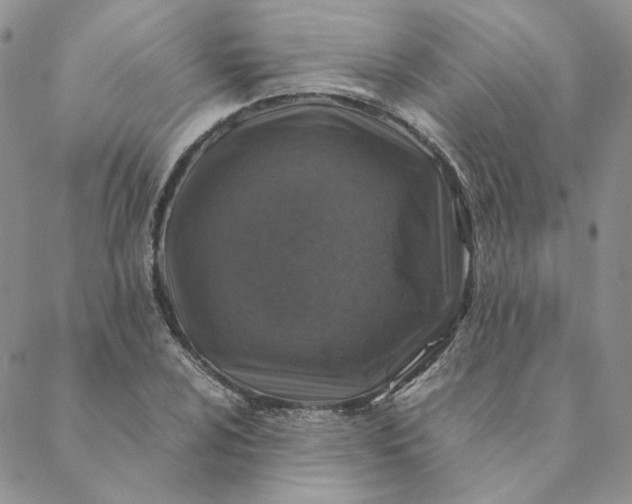 X0000088621024200706081516