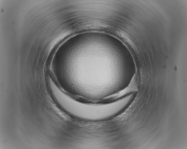 X0000088621026200706081516