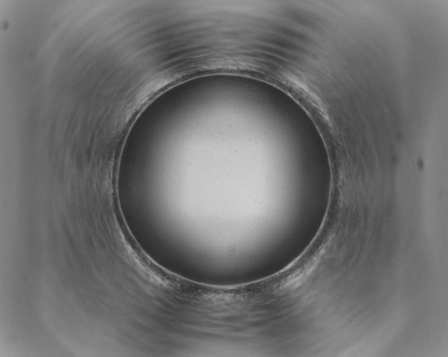 X0000088621033200706081516