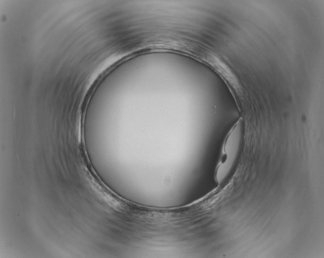 X0000088621036200706081516