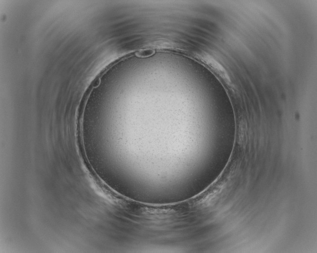 X0000088621039200706081516